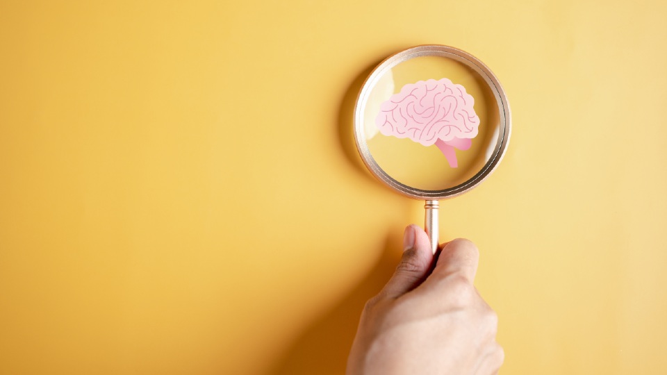 A magnifying glass on top of a drawing of a pink brain on a yellow background