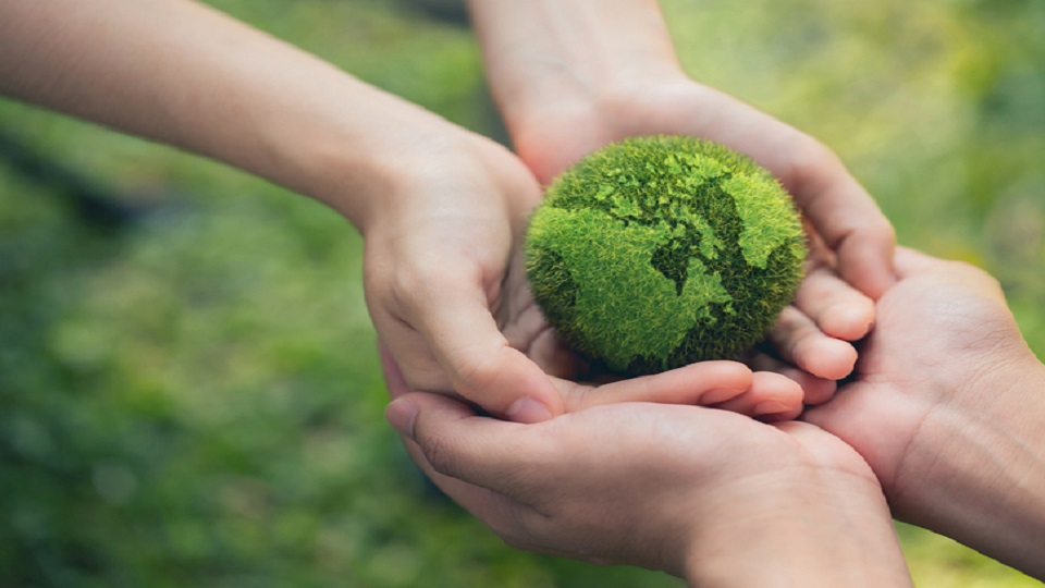 Two pairs of hands holding a grass earth
