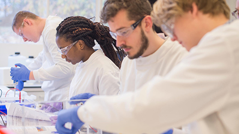 Students working in a lab