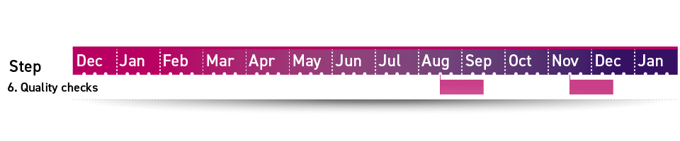 Step 6 in the Loughborough timetabling timeline is quality checks, running from the middle of August for four weeks, and again from the middle of November for four weeks.