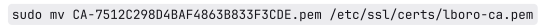 Screenshot of 'PEM' code required to download the Loughborough University Authority certificate