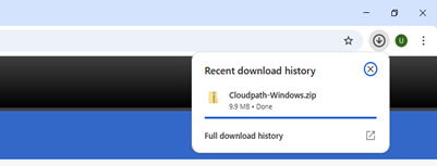 Prompt screen to select Allow option for download