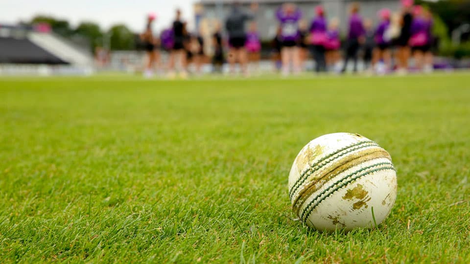 Cricket ball