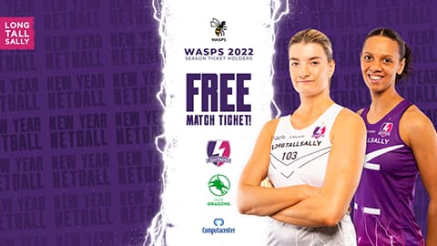 Wasps Family