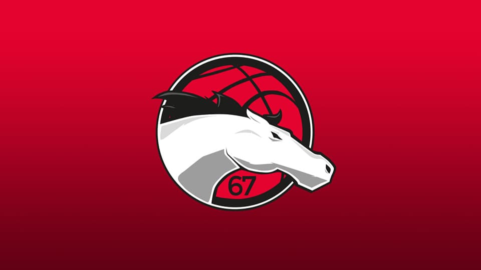 a drawing of a white horse in front of a basketball with red background