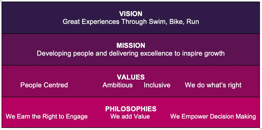 vision diagram