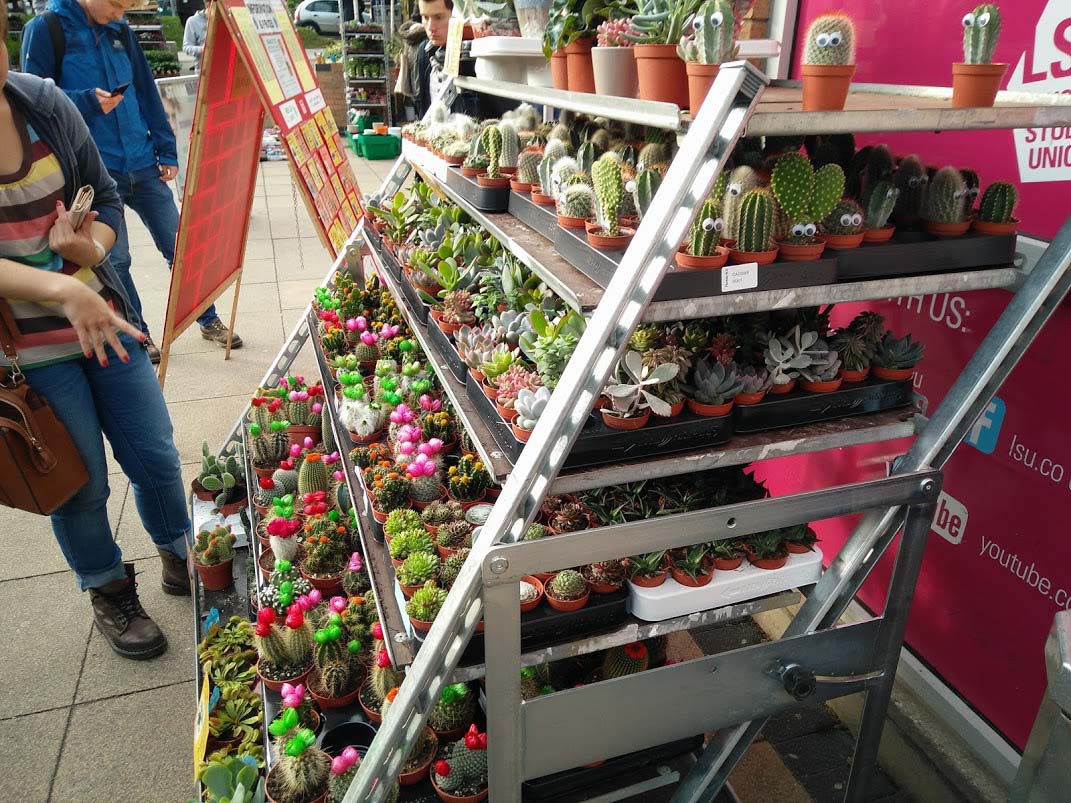 A photo of a stand which has a range of plants on it which are for sale outside the Students Union at Loughborough. 