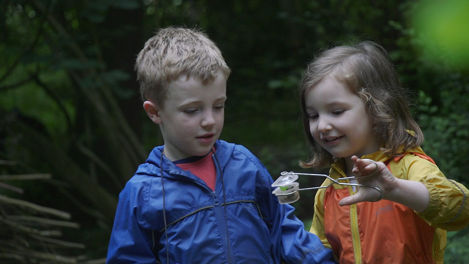 Children playing in woodland