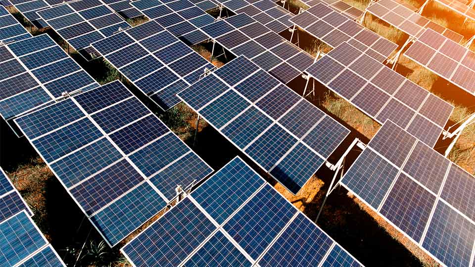 solar panels in a field