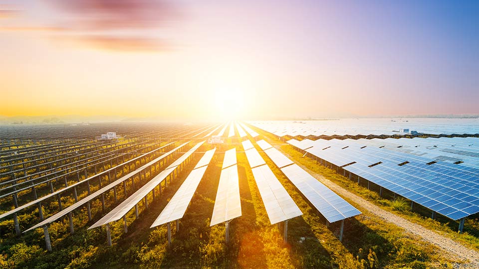 A field of solar panels. 