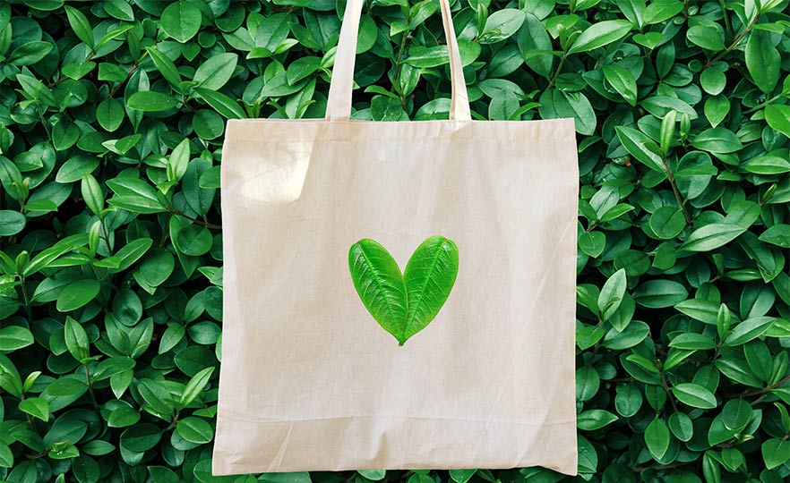 An eco bag 