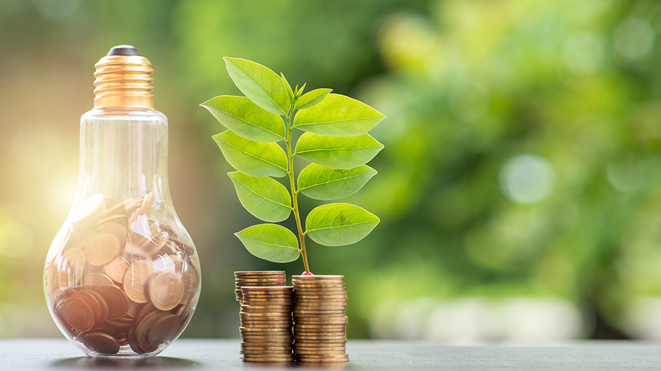 A lightbulb next to money and a small tree. 