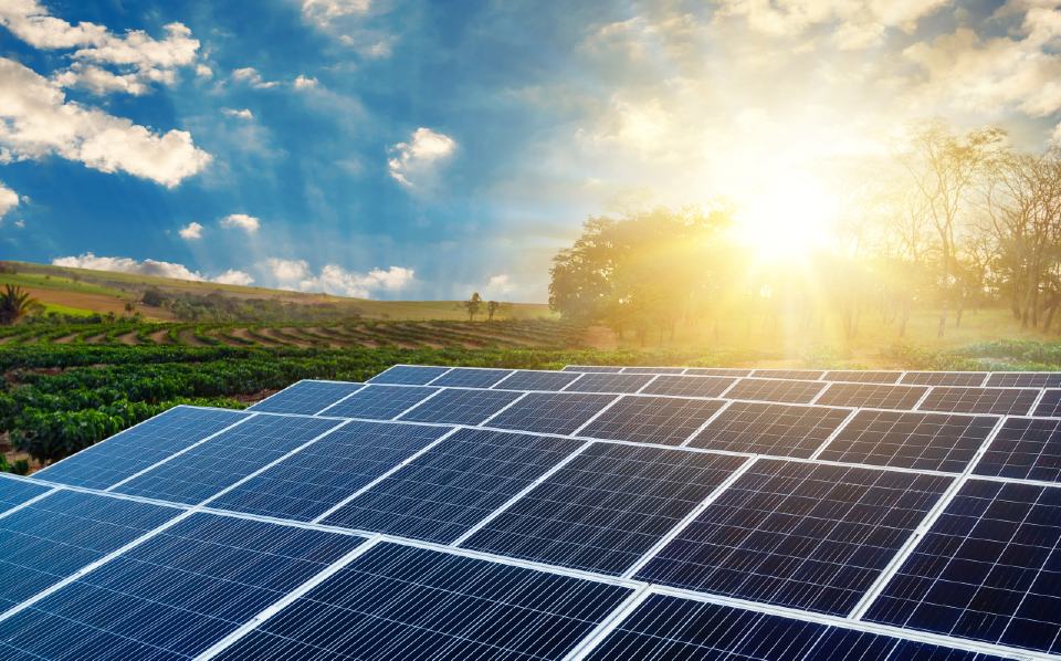 Sun rising over a solar panel farm 