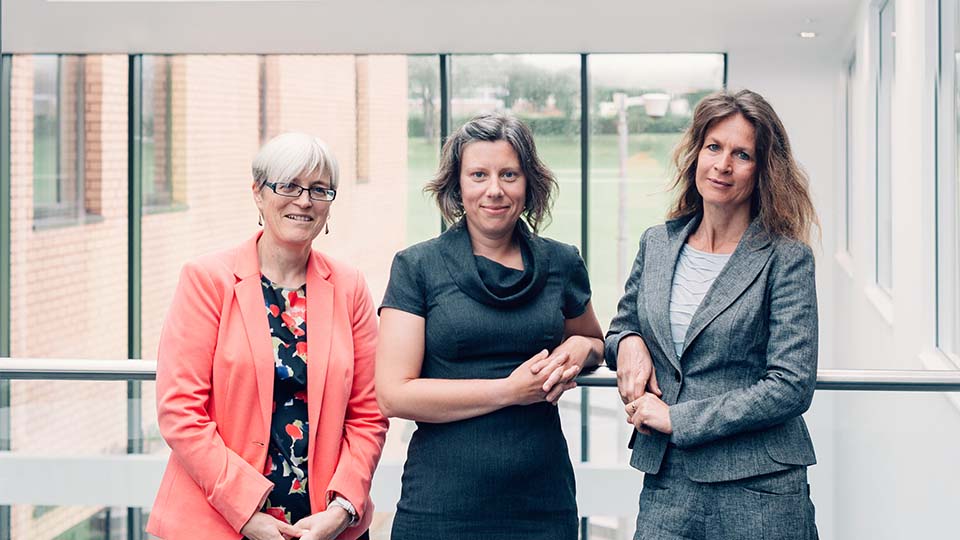 Professors Sue Hignett, Elizabeth Peel and Eef Hogervorst