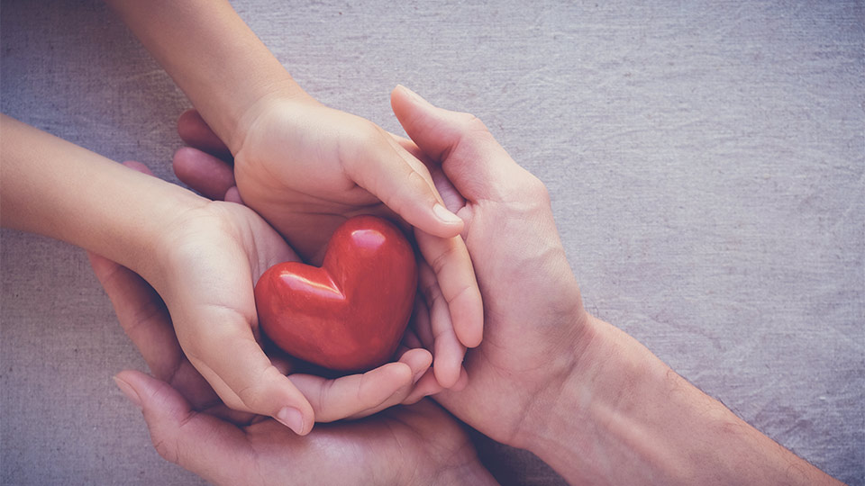 Pictured is two pairs of hands holding a red heart. 