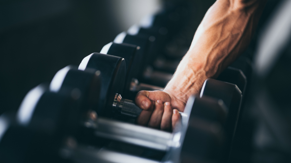 A close up of an arm lifting dumbbells from a rack